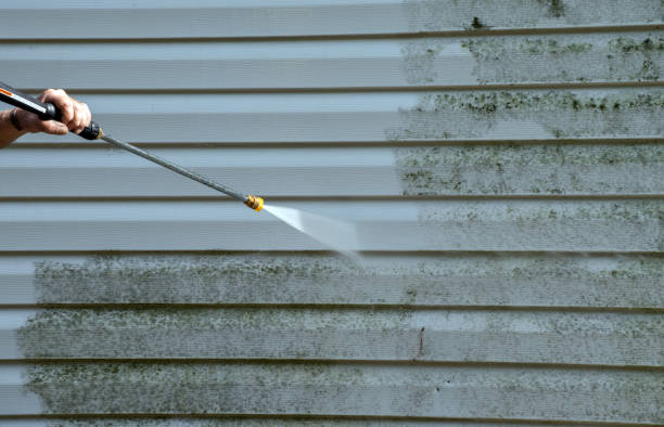 Professional Pressure Washing in Barnhart, MO